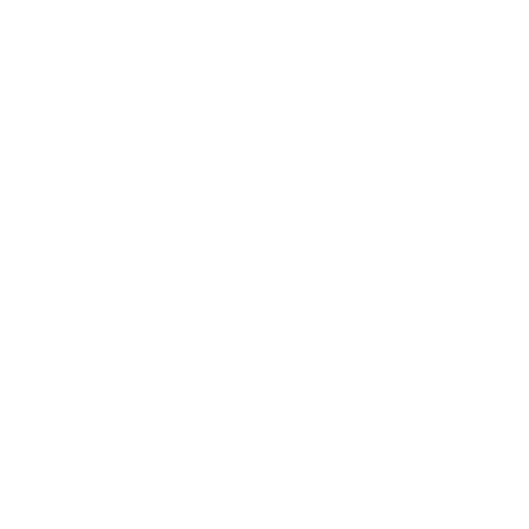 Mission Training